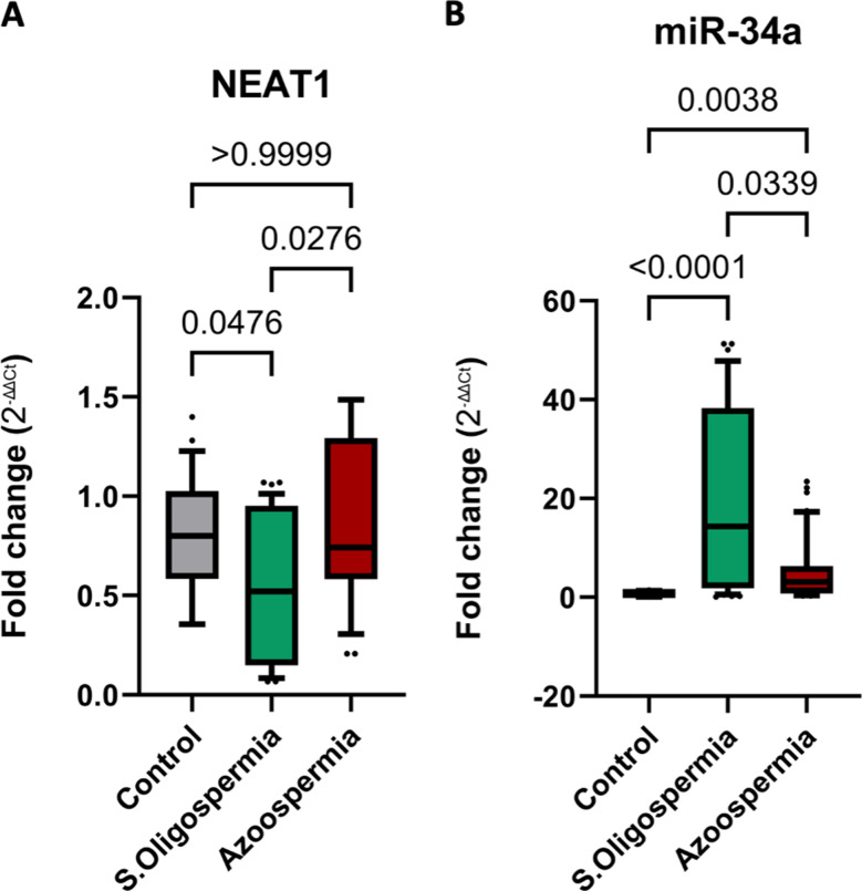 A comparison of the expression patterns and diagnostic capability of the ncRNAs NEAT1 and miR-34a in non-obstructive azoospermia and severe oligospermia.