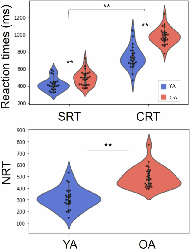 The role of inhibitory and excitatory neurometabolites in age-related differences in action selection.