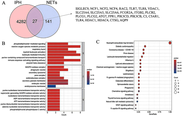 Establishment of a prediction model and immune infiltration characteristics of atherosclerosis progression based on neutrophil extracellular traps-related genes.