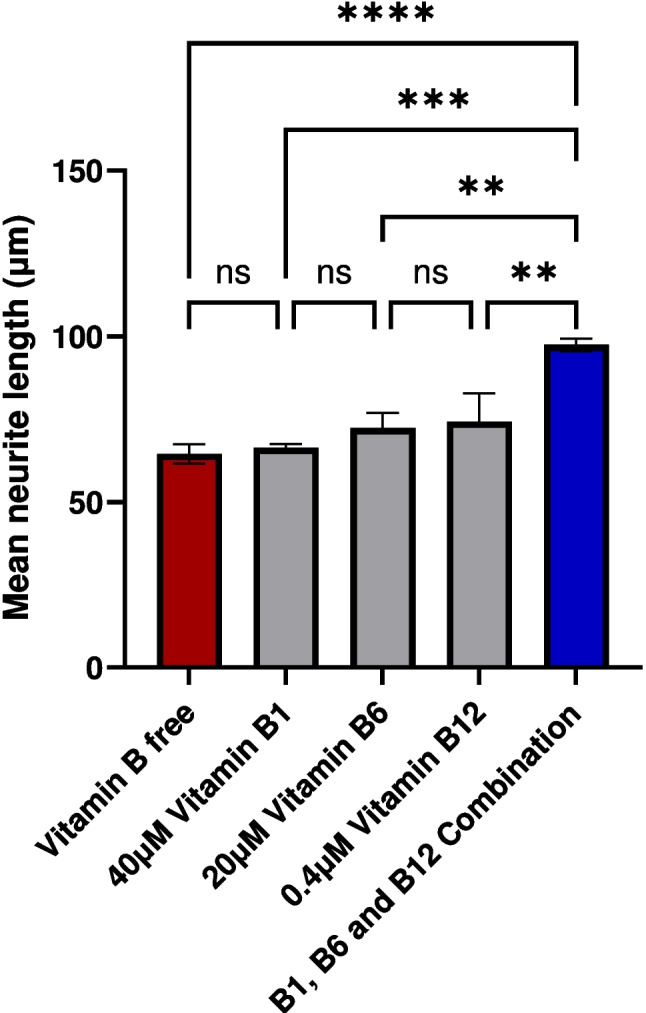 The combination of neurotropic B vitamins (B1, B6, and B12) is superior to individual B vitamins in promoting neurite growth in vitro.