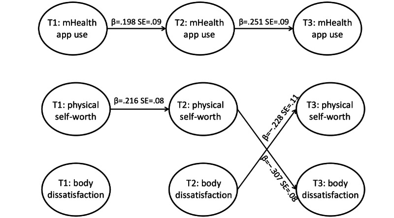 Longitudinal Associations Between Adolescents' mHealth App Use, Body Dissatisfaction, and Physical Self-Worth: Random Intercept Cross-Lagged Panel Study.