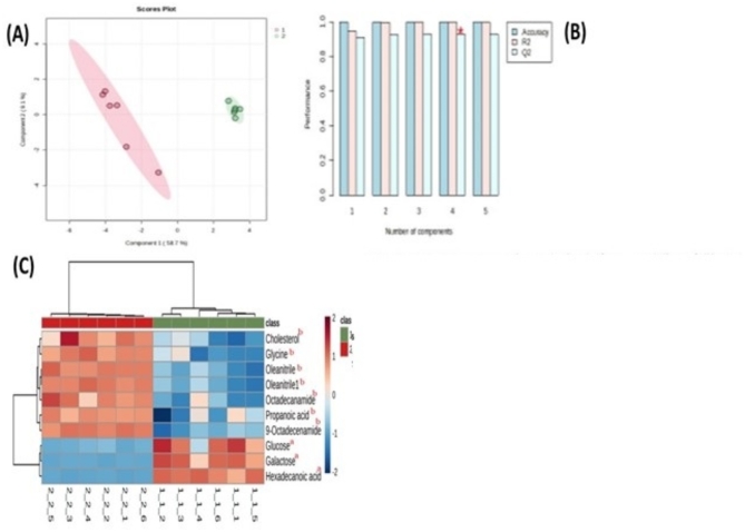 Metabolomic profile of dromedary camel follicular fluid during the breeding and non-breeding seasons.