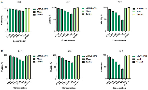 Inhibition of p16 and NF-κB Oncogenic Activity in Human Papillomavirus-Infected Cervical Cancer Cells: A New Role for Activating Transcription Factor-3.