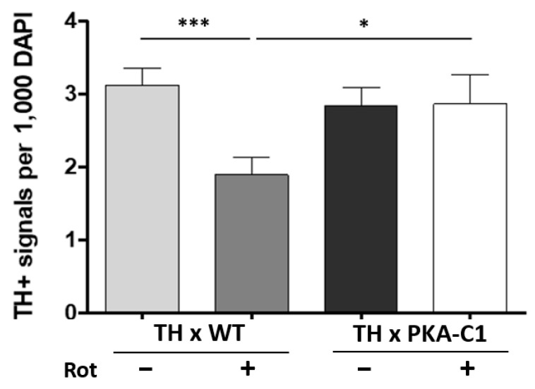 Neuroprotective Role of Cyclic AMP Signaling in Dopaminergic Degeneration Induced by a Parkinson's Disease Toxin, Rotenone.