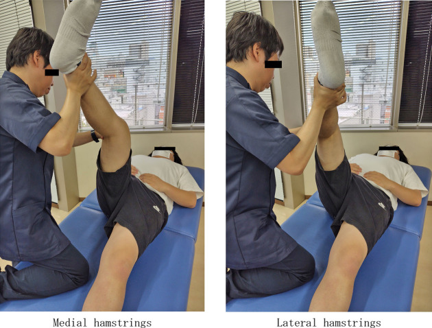 Effects of static and dynamic stretching techniques on muscle function.