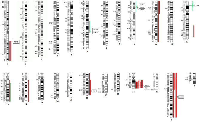 Genomic landscape of childhood acute lymphoblastic leukemia in Malaysia: insights from array-CGH.