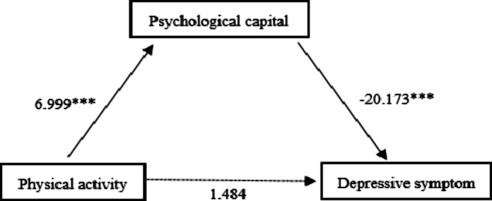 Gender mediates the mediating effect of psychological capital between physical activity and depressive symptoms among adolescents.