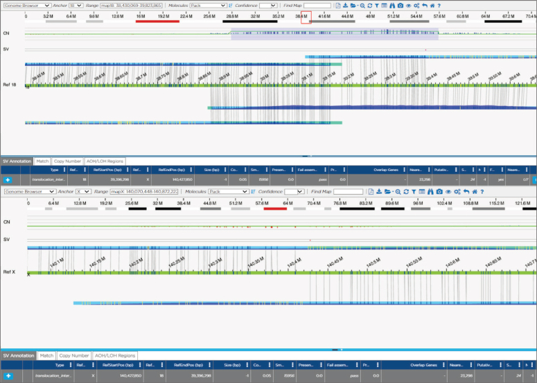 Value of Optical Genome Mapping (OGM) for Diagnostics of Rare Diseases: A Family Case Report.
