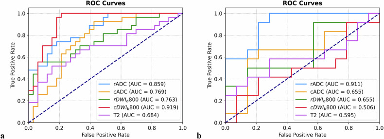 MRI radiomic study on prediction of nonenlarged lymph node metastasis of rectal cancer: reduced field-of-view versus conventional DWI.