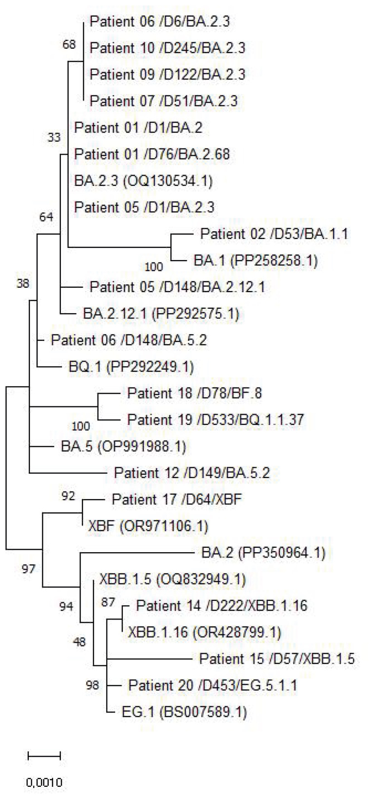 Reinfection of SARS-CoV-2 Variants in Immunocompromised Patients with Prolonged or Relapsed Viral Shedding.