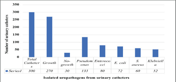 Adhesion Study of <i>Pseudomonas aeruginosa</i> on Different Urinary Catheter Materials.