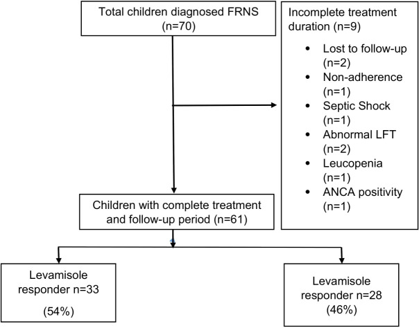 Short-term outcome of levamisole in frequently relapsing nephrotic syndrome: a single-center prospective cohort study.