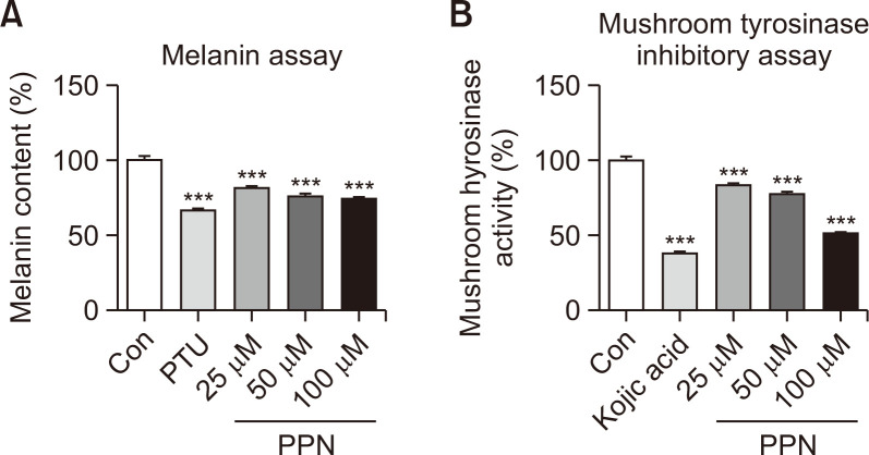 Piperine Regulates Melanogenesis through ERK Activation and Proteasomal Degradation of MITF.