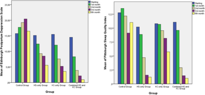 The Effect of Early-Initiated Half-Swaddling and Kangaroo Care Practices on Maternal Sleep Quality and Postpartum Depression in Term Infants: A Randomized Controlled Trial.