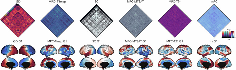 Multimodal precision MRI of the individual human brain at ultra-high fields.