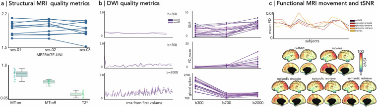 Multimodal precision MRI of the individual human brain at ultra-high fields.