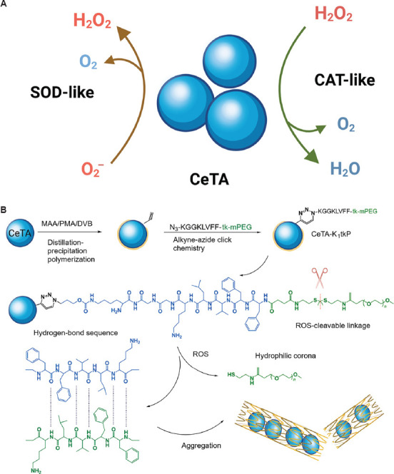 Deformable and degradable nanozymes for inhaled viral pneumonia treatment.