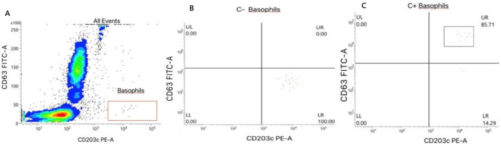 Diagnosis of propofol allergy (the innovative role of the basophil activation test in the identification of allergen): a case report.