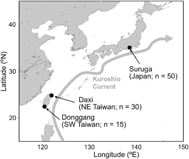 Population panmixia of the pelagic shrimp Lucensosergia lucens between Japanese and Taiwanese waters in the western North Pacific.