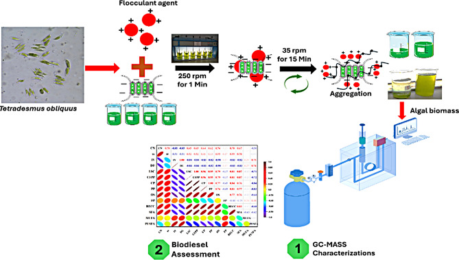 Maximizing lipid accumulation in Tetradesmus obliquus under heavy metal stress for sustainable biodiesel innovation.