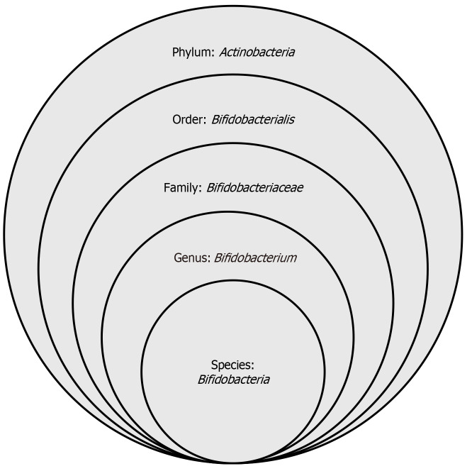 Effect of dietary fibre on the gastrointestinal microbiota during critical illness: A scoping review.