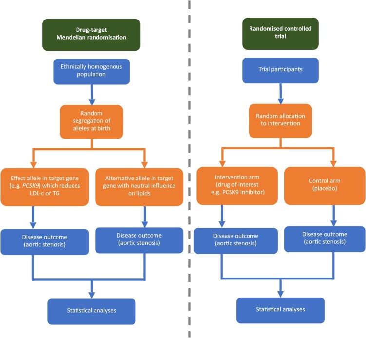 Lipid-lowering therapies for aortic stenosis: a drug-target Mendelian randomization study.