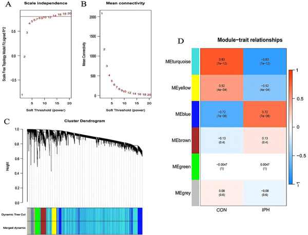 Establishment of a prediction model and immune infiltration characteristics of atherosclerosis progression based on neutrophil extracellular traps-related genes.
