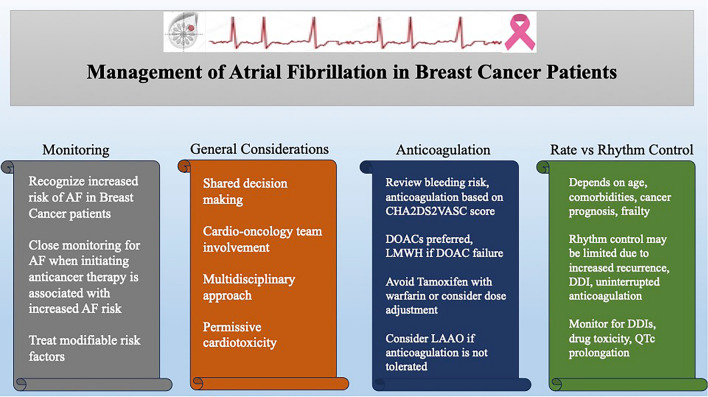 Atrial Fibrillation in Patients with Breast Cancer: A Literature Review.