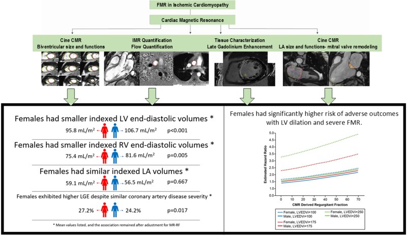 Sex differences in cardiac remodelling in ischaemic cardiomyopathy and functional mitral regurgitation: impact on prognosis.