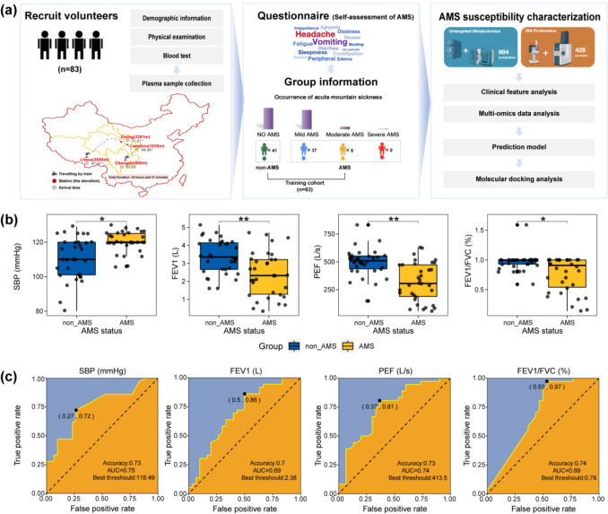 Acute mountain sickness prediction: a concerto of multidimensional phenotypic data and machine learning strategies in the framework of predictive, preventive, and personalized medicine.