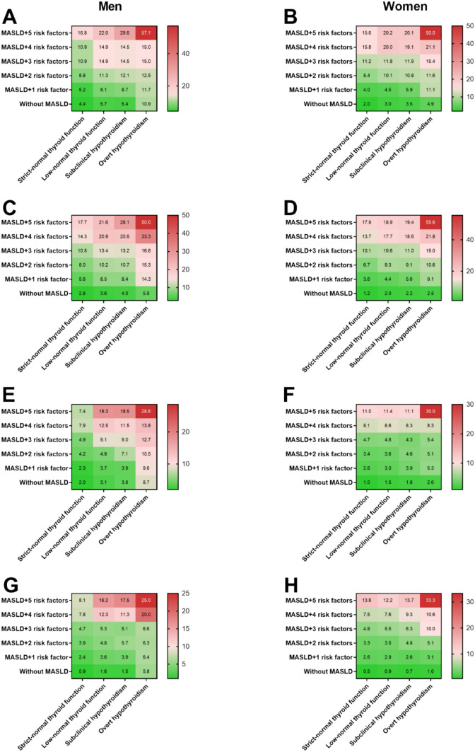 Liver fibrotic burden across the spectrum of hypothyroidism.