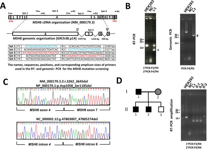 Novel MSH6 exon 5-6 skipping variant in a Taiwanese family with Lynch syndrome: implications for genetic testing and cancer management.