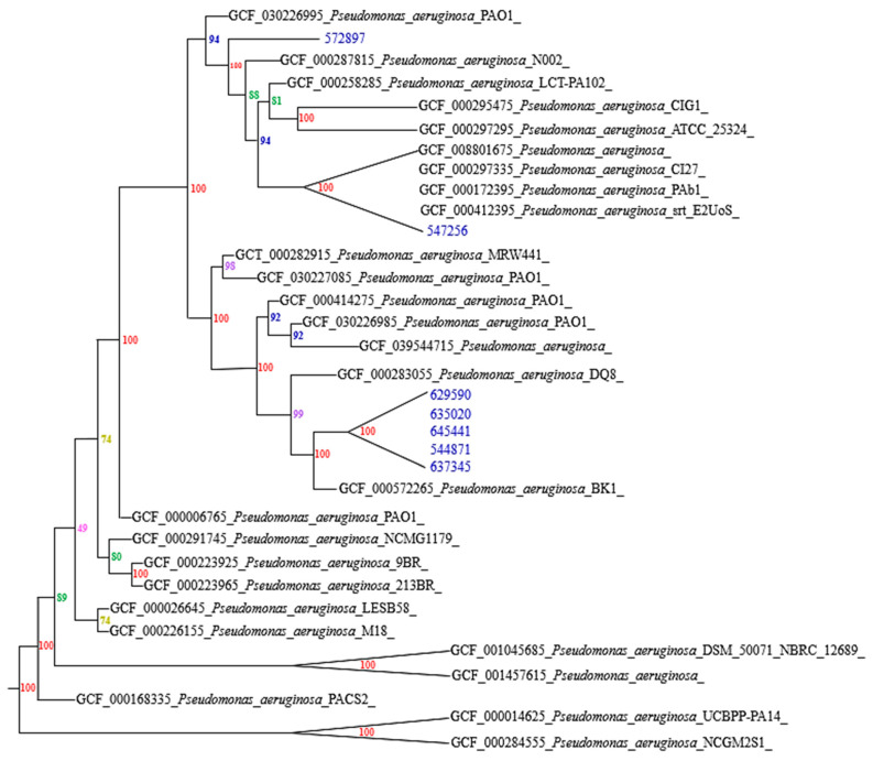 Genomic Characterization of Extremely Antibiotic-Resistant Strains of <i>Pseudomonas aeruginosa</i> Isolated from Patients of a Clinic in Sincelejo, Colombia.