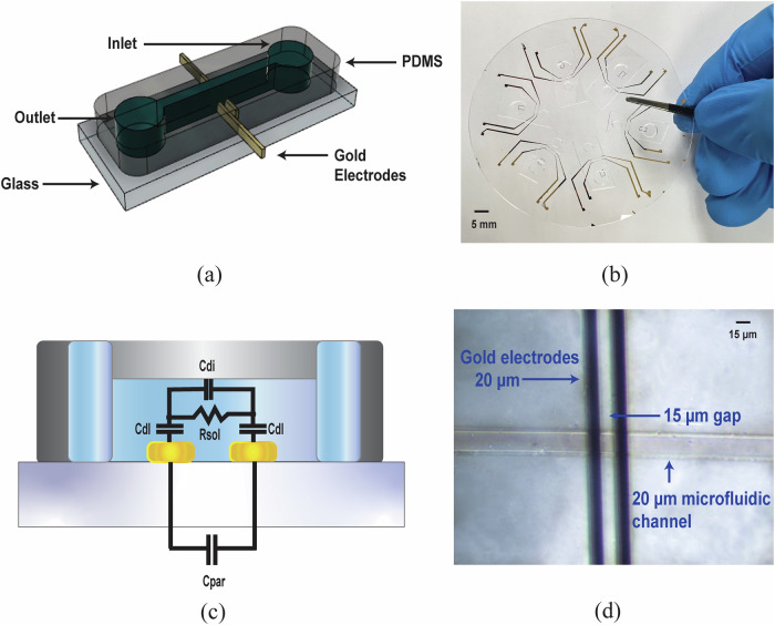 Allele-specific electrical genotyping for diagnosis of transthyretin amyloidosis.