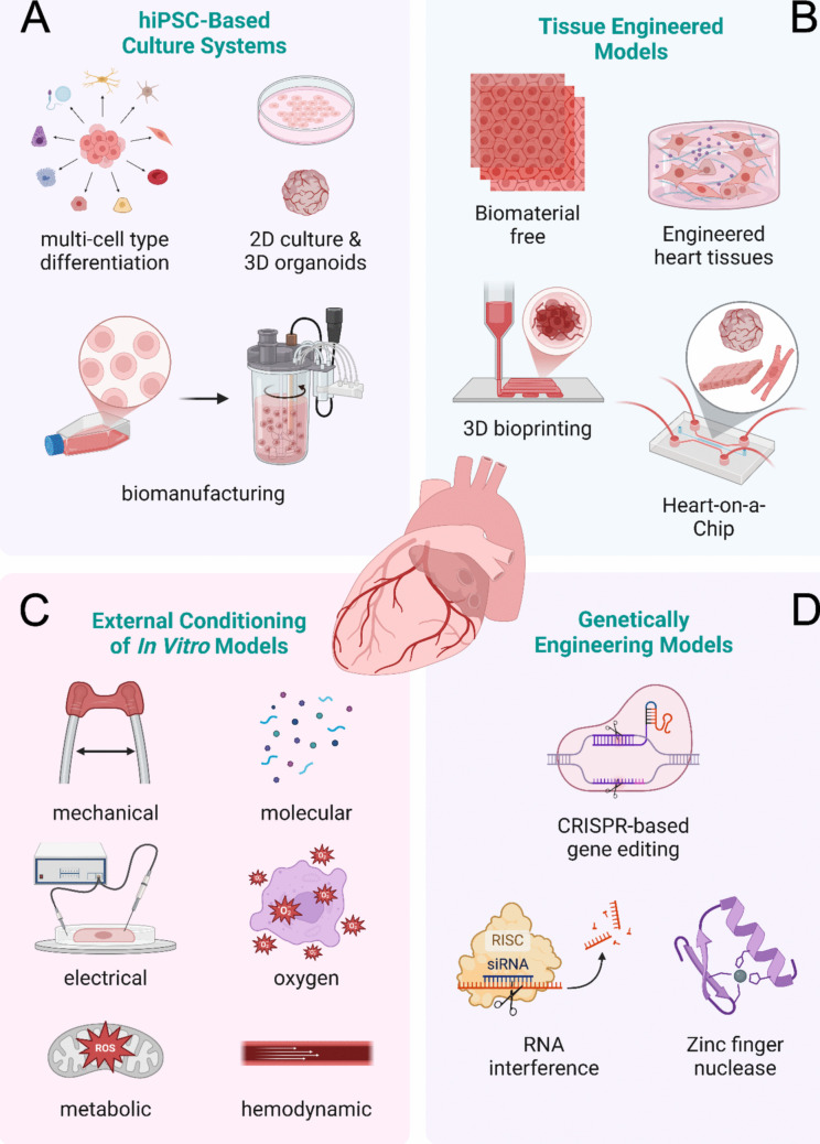 Bioengineering Approaches to In Vitro Modeling of Genetic and Acquired Cardiac Diseases.