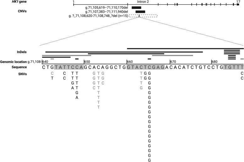 Non-coding cis-regulatory variants in HK1 cause congenital hyperinsulinism with variable disease severity.