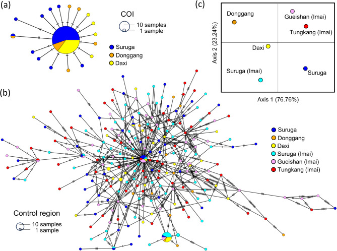 Population panmixia of the pelagic shrimp Lucensosergia lucens between Japanese and Taiwanese waters in the western North Pacific.