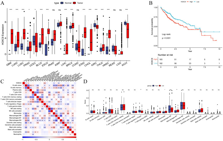 Integrating Bulk and Single-Cell RNA Sequencing Data Reveals the Prognostic Significance of HOXC9-Related Immune Gene Signatures in Hepatocellular Carcinoma.
