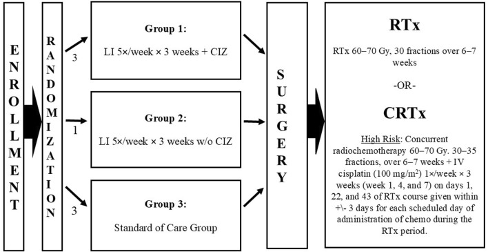 Neoadjuvant leukocyte interleukin injection immunotherapy improves overall survival in low-risk locally advanced head and neck squamous cell carcinoma -the <i>IT-MATTERS</i> study.