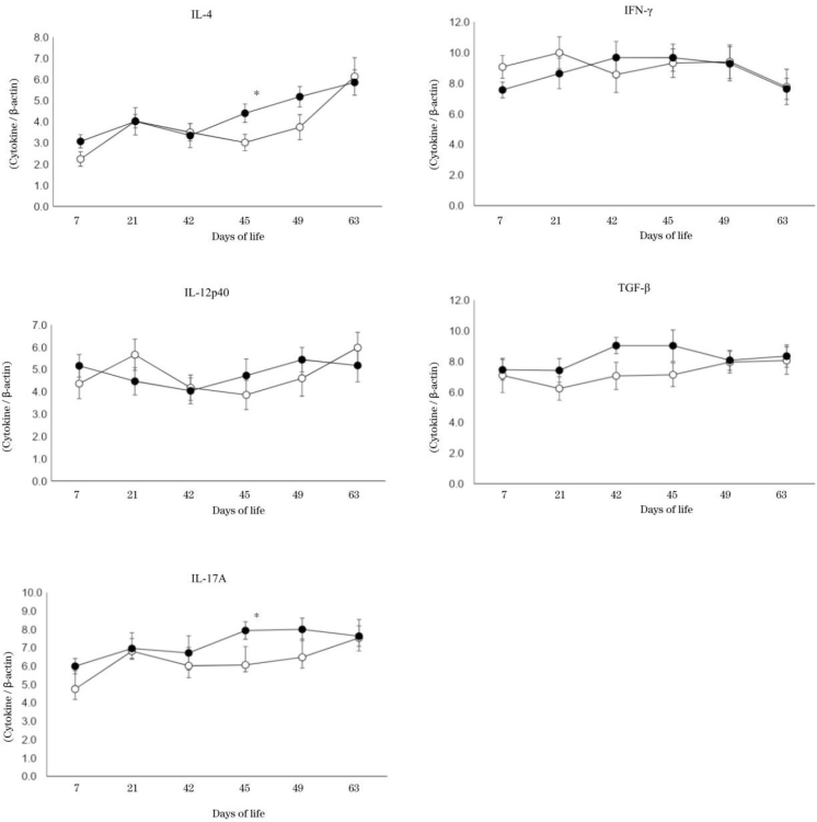 Effect of probiotics on immune cells in young Japanese Black calves responding to vaccination against bacterial respiratory diseases.