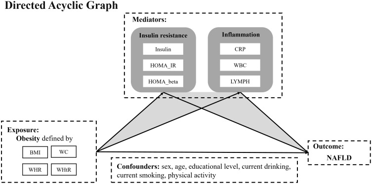 The Mediation Role of Insulin Resistance and Chronic Systemic Inflammation in the Association Between Obesity and NAFLD: Two Cross-Sectional and a Mendelian Randomization Study.