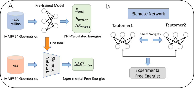 Fast and Accurate Prediction of Tautomer Ratios in Aqueous Solution via a Siamese Neural Network.