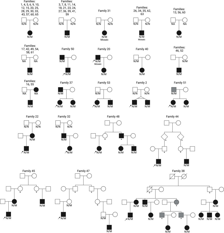 Non-coding cis-regulatory variants in HK1 cause congenital hyperinsulinism with variable disease severity.