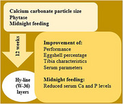 Effects of Calcium Carbonate Particle Size, Phytase and Midnight Feeding on Performance, Egg and Bone Quality and Blood Parameters in Laying Hens.