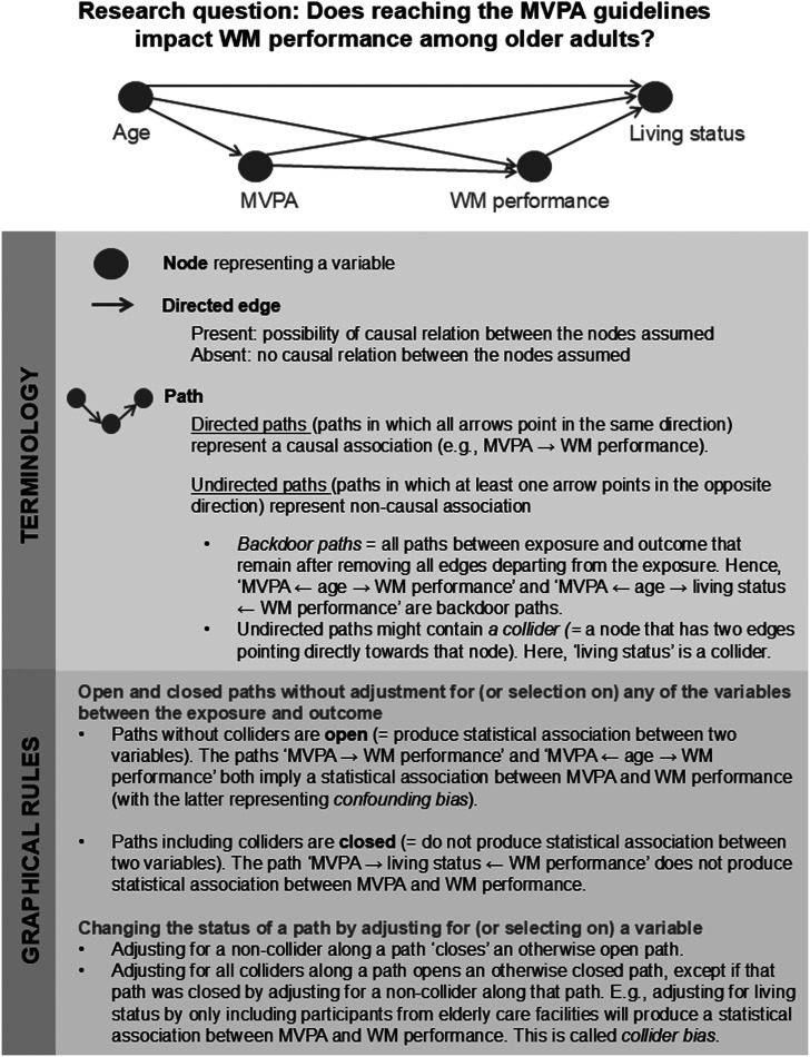 How to develop causal directed acyclic graphs for observational health research: a scoping review.