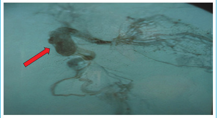 Abstract Image