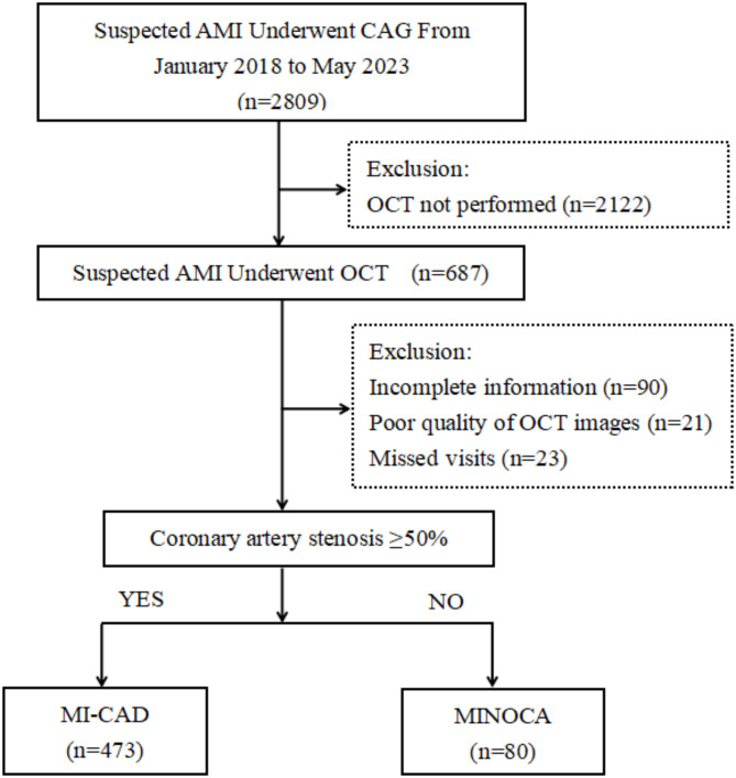 Clinical characteristics and prognosis of myocardial infarction with nonobstructive coronary arteries evaluated by optical coherence tomography.