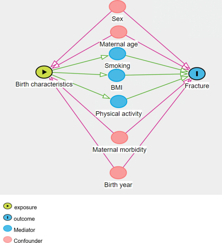 Is there an association between birth characteristics and fractures in young adults? The HUNT Study, Norway.