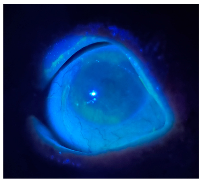 Abstract Image