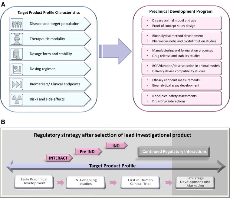Adeno-Associated Virus Gene Therapy Development: Early Planning and Regulatory Considerations to Advance the Platform Vector Gene Therapy Program.